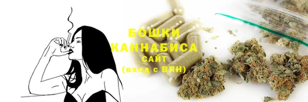 ешки Медногорск