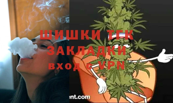 ешки Медногорск