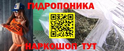 spice Гатчина