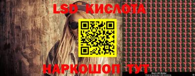 spice Гатчина