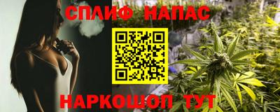 крисы Гагарин