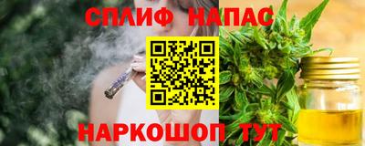 крисы Гагарин