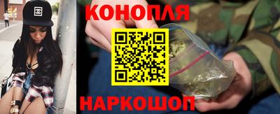 крисы Гагарин