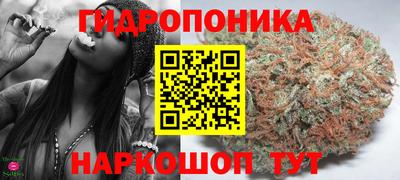 крисы Гагарин