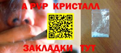 spice Гатчина