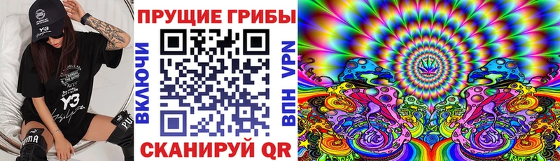 купить закладку  omg   Псилоцибиновые грибы MAGIC MUSHROOMS  Мурино 